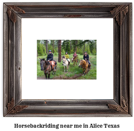 horseback riding near me in Alice, Texas